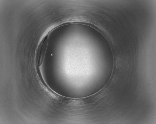 X0000077371374200610201337