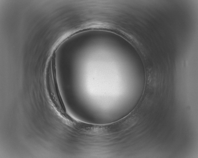 X0000077371375200610201337