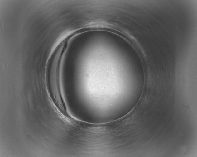 X0000077371376200610201337