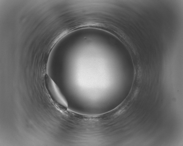 X0000077371377200610201337