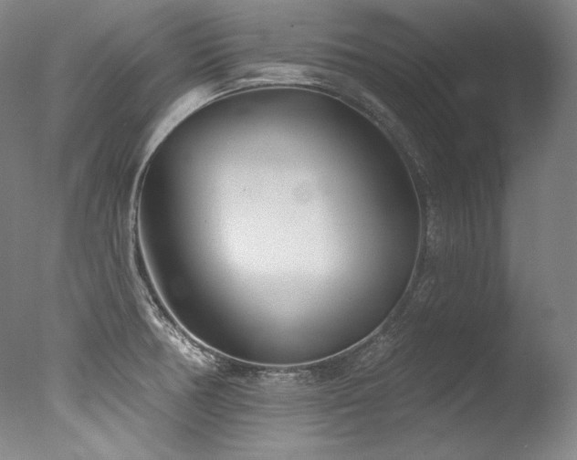 X0000077371378200610201337