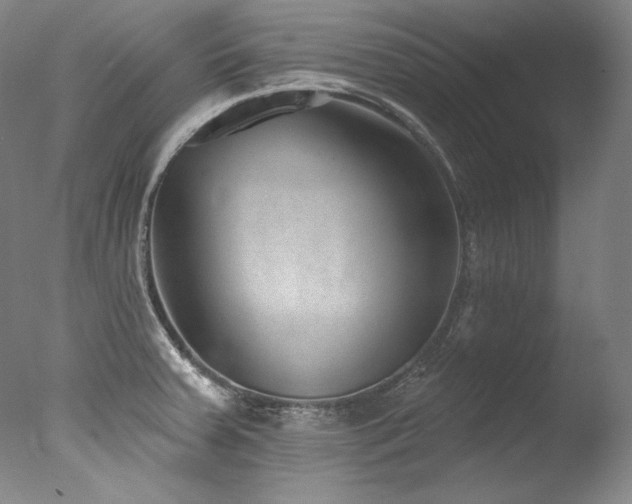 X0000077371379200610201337