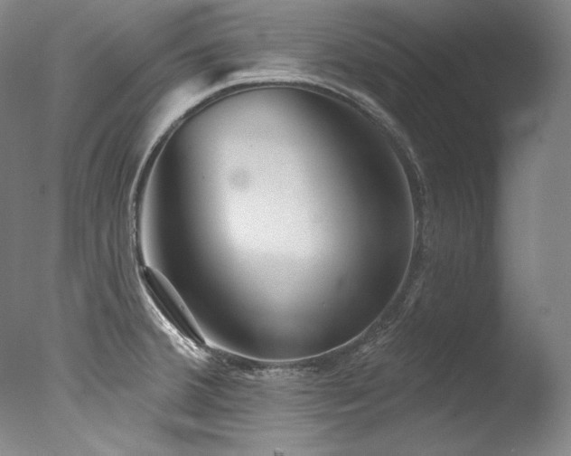 X0000077371380200610201337