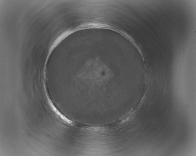 X0000077371381200610201337