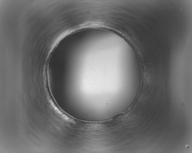 X0000077371382200610201337