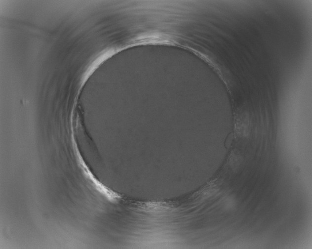 X0000077371383200610201337