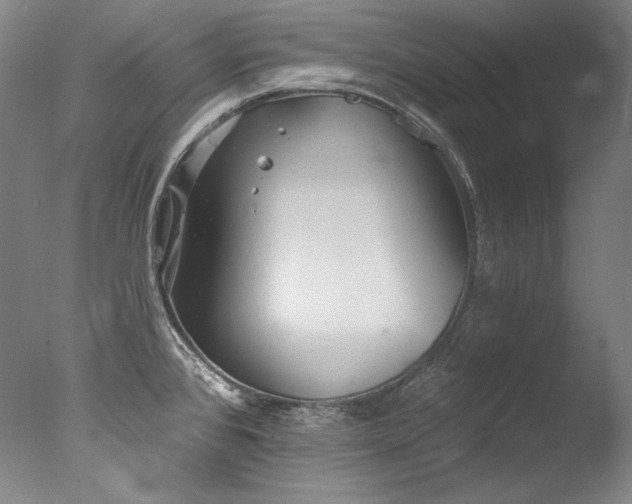 X0000077371384200610201337