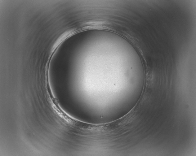 X0000077371386200610201337