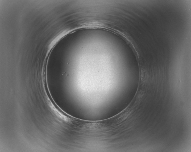 X0000077371387200610201337