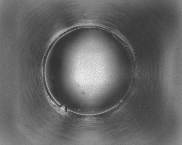 X0000077371388200610201337