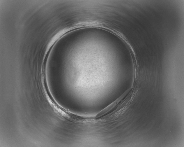 X0000077371389200610201337