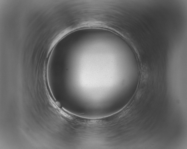 X0000077371390200610201337