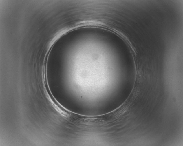 X0000077371391200610201337