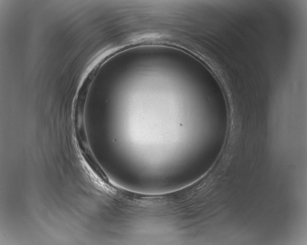 X0000077371392200610201337