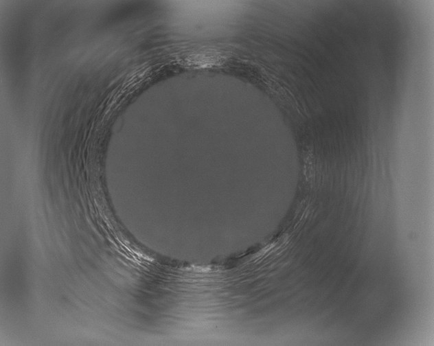 X0000077371393200610201336