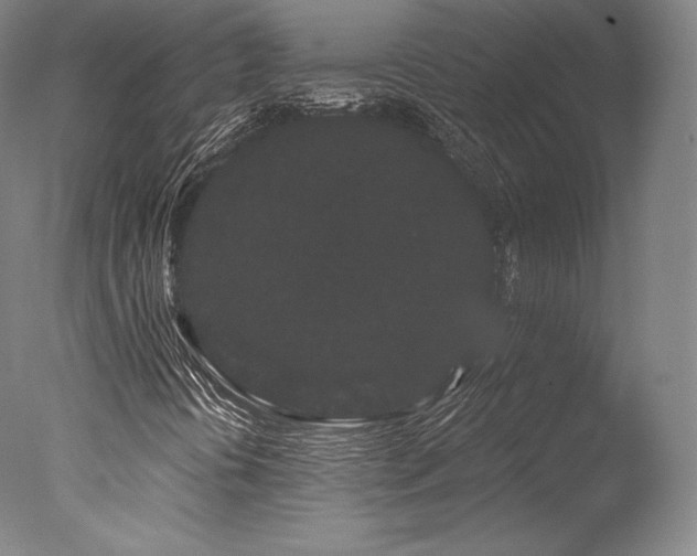 X0000077371394200610201336