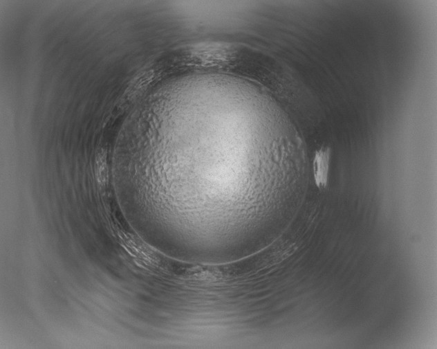 X0000077371395200610201336