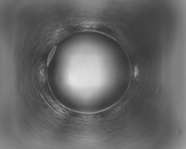 X0000077371396200610201336