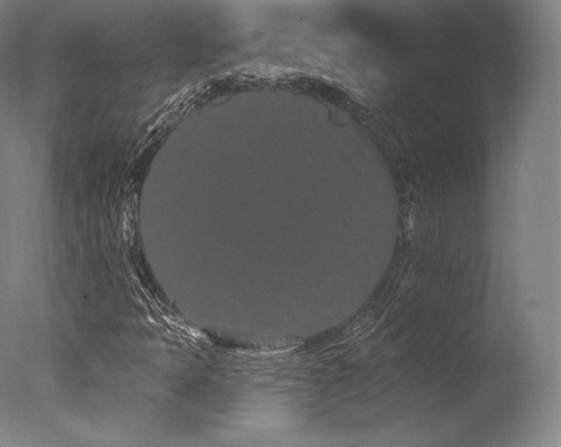 X0000077371397200610201336