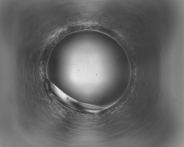 X0000077371398200610201336