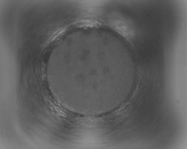 X0000077371399200610201336