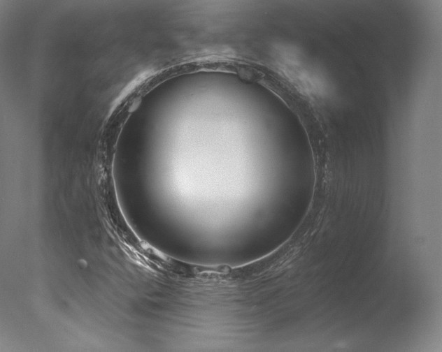 X0000077371400200610201336