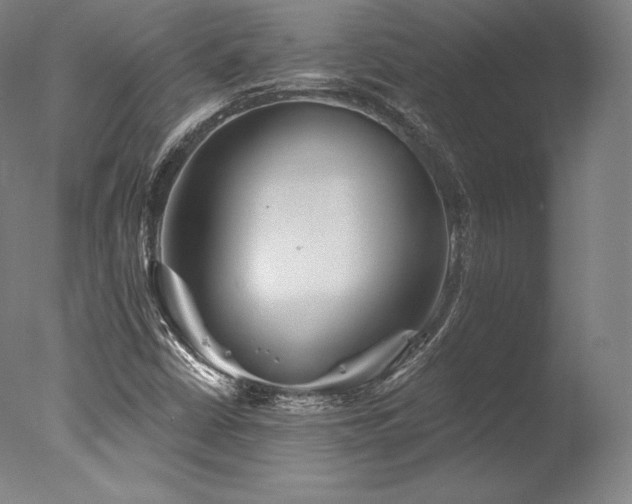 X0000077371402200610201336