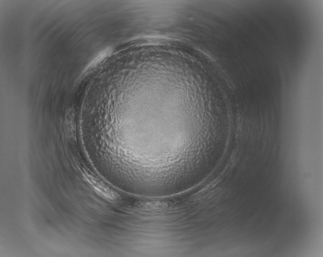 X0000077371403200610201336