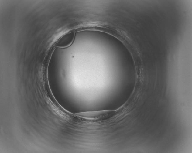 X0000077371404200610201336