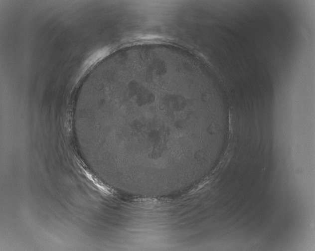 X0000077371405200610201336