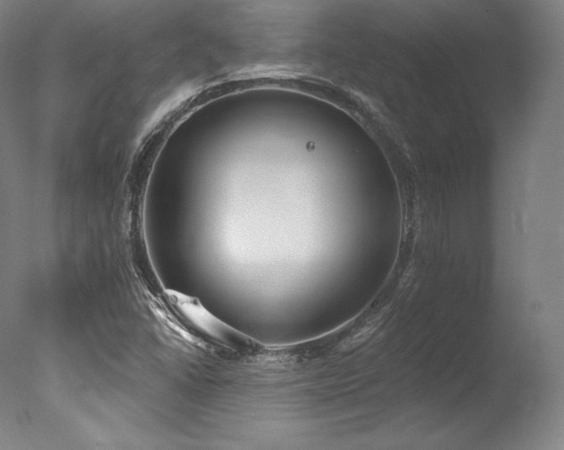 X0000077371406200610201336