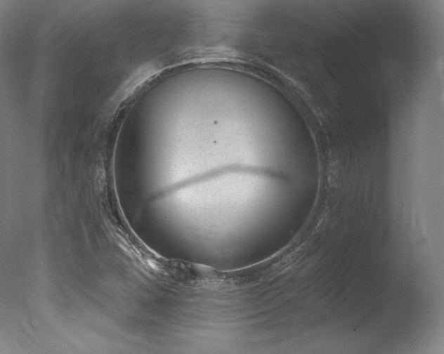 X0000077371407200610201336