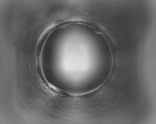 X0000077371408200610201336