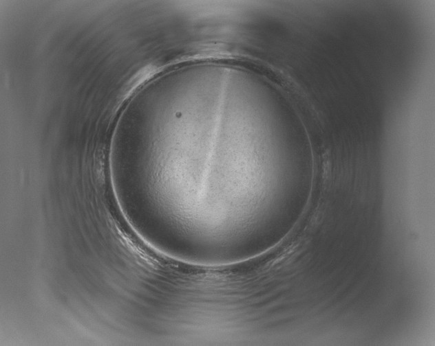 X0000077371409200610201337