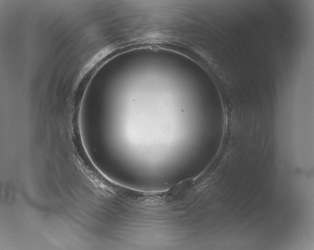 X0000077371410200610201337