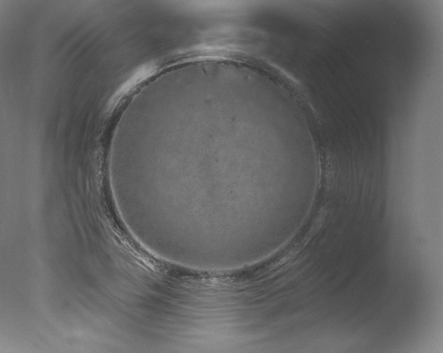 X0000077371411200610201337