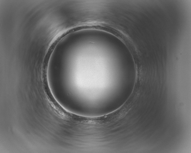 X0000077371412200610201337