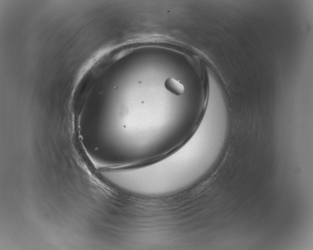 X0000077371414200610201337