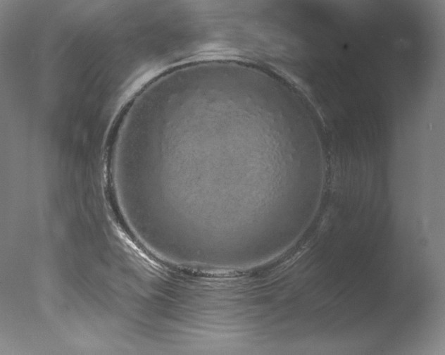 X0000077371415200610201337