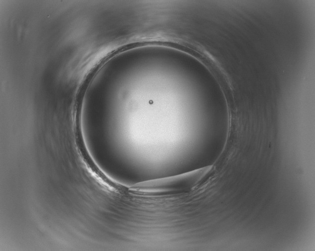 X0000077371416200610201337