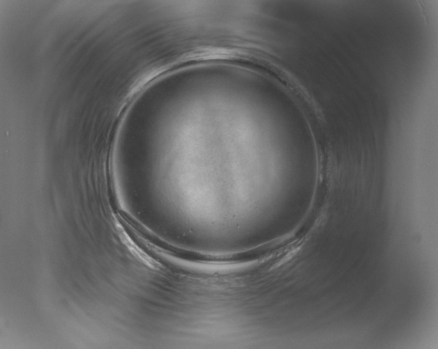 X0000077371417200610201337