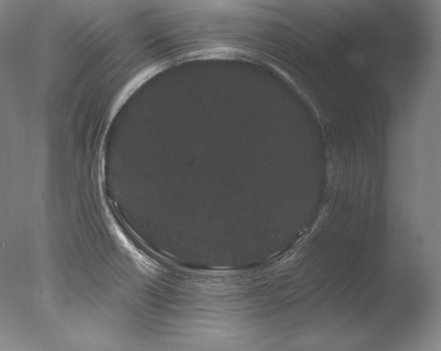 X0000077371418200610201337