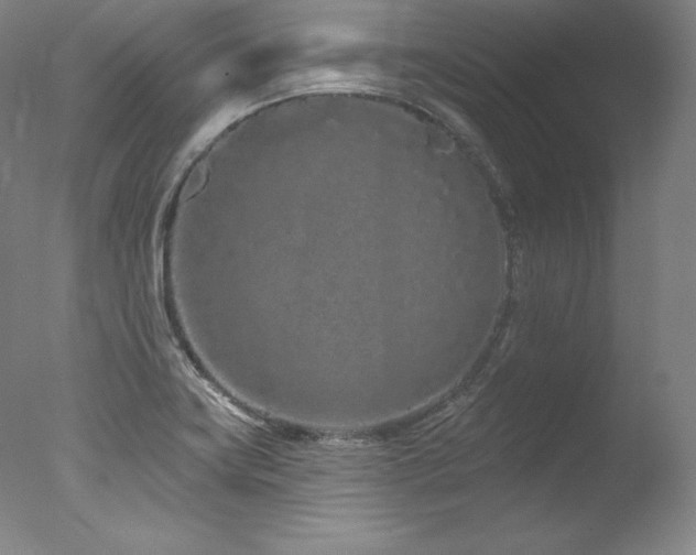 X0000077371419200610201337