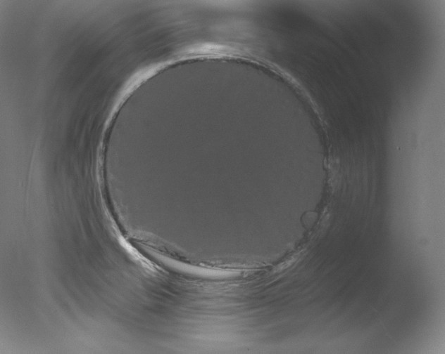 X0000077371421200610201337