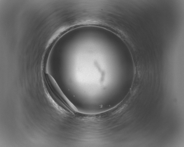 X0000077371422200610201337