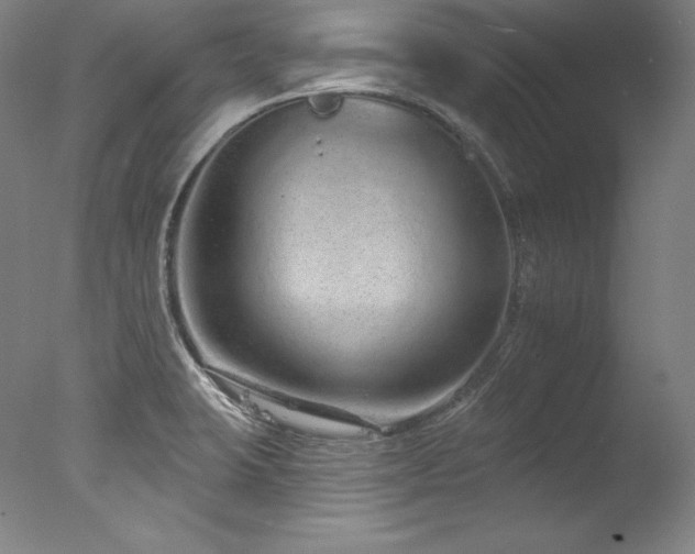 X0000077371423200610201337