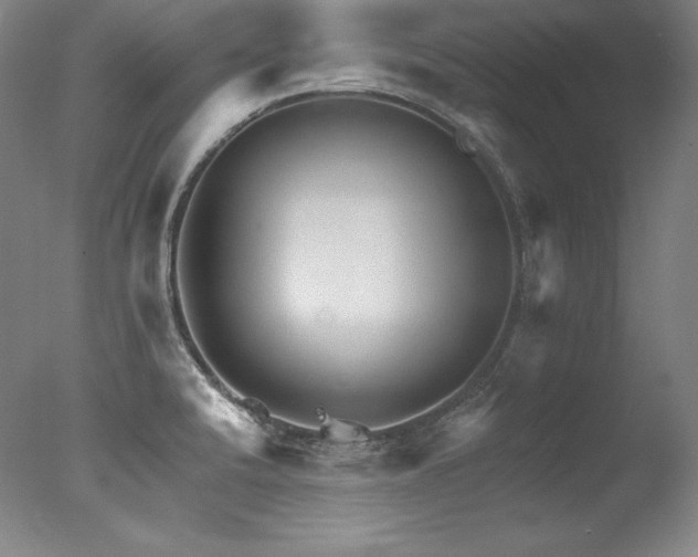 X0000077371424200610201337