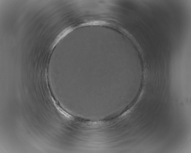 X0000077371425200610201337