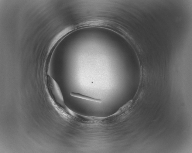 X0000077371426200610201337