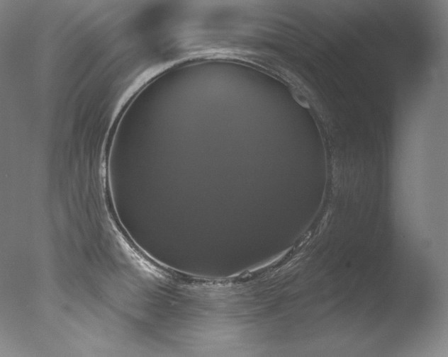 X0000077371428200610201337